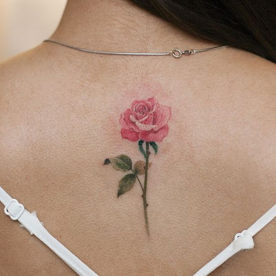 rose tattoo