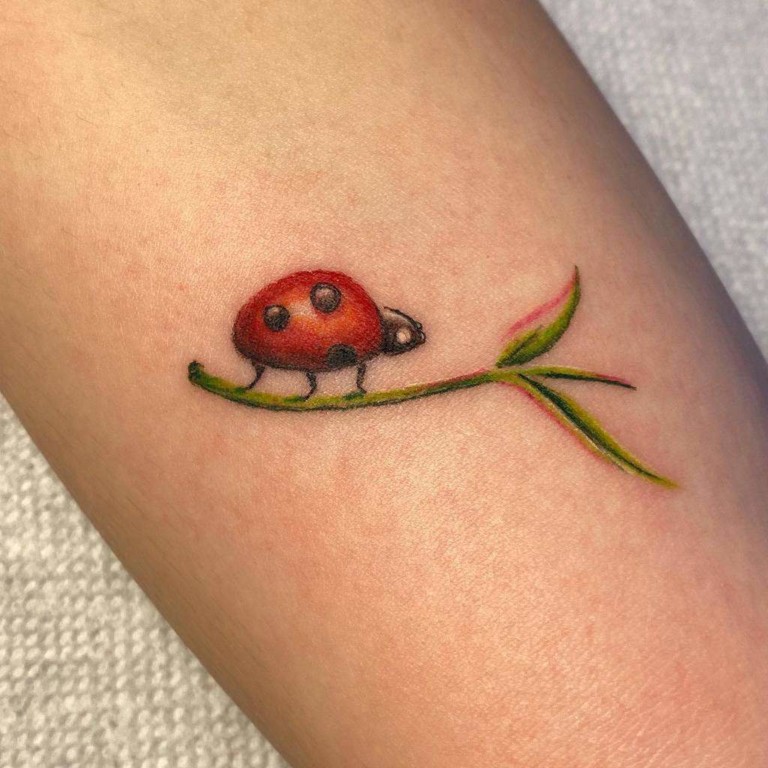 Ladybug tattoo