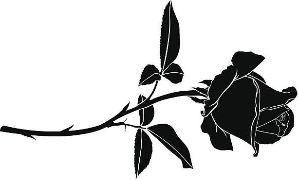 Black Rose