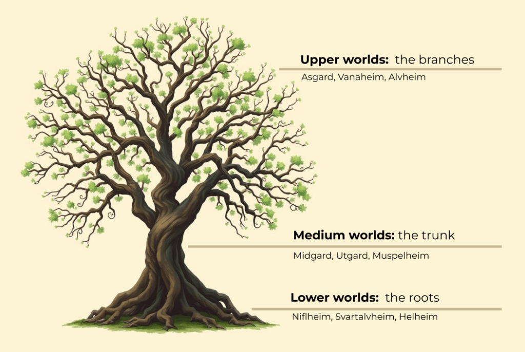 the infographics of the Yggdrasil tree and its connection to upper, medium and lower worlds