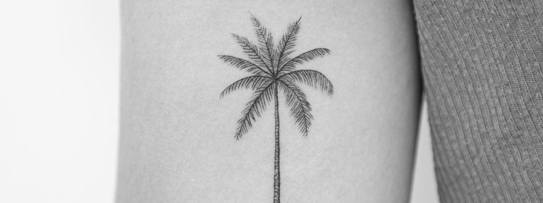 Black palm tree tattoo on the arm