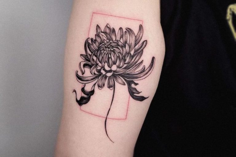 Chrysanthemum tattoo