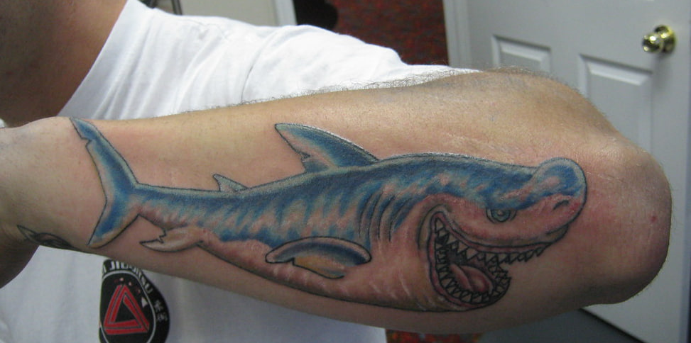 Shark tatoo