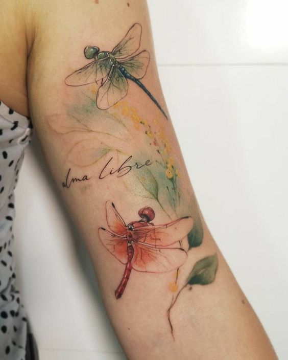 Dragonfly tattoo