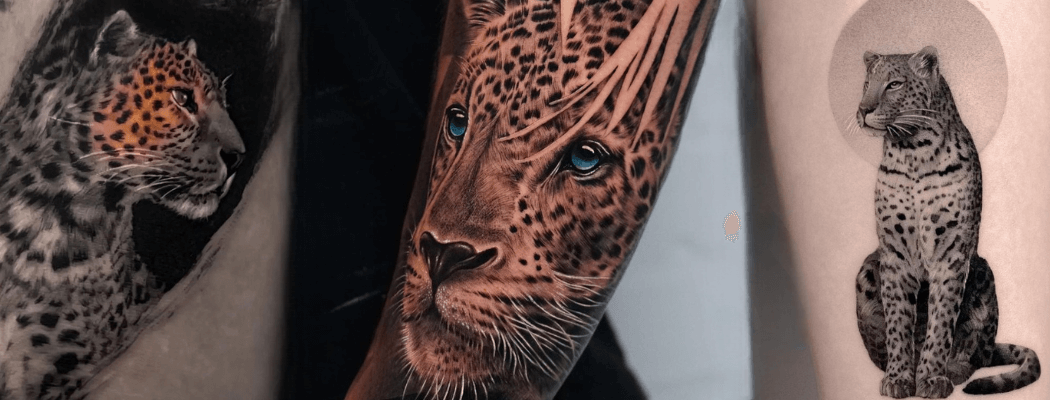 Leopard