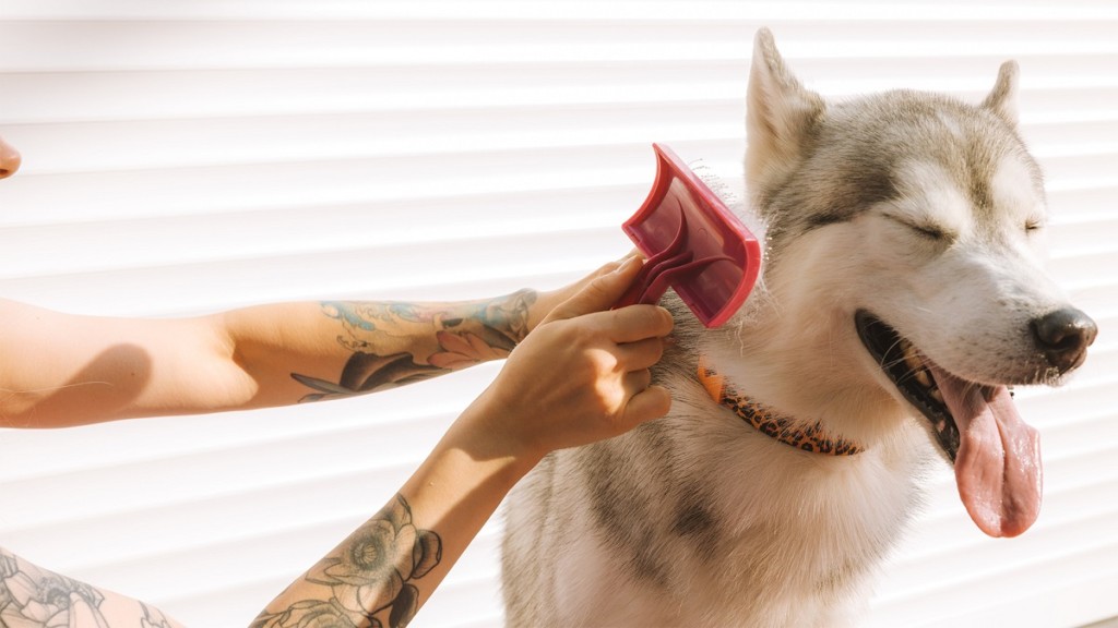 Symbolism and Meaning in Dog Tattoos