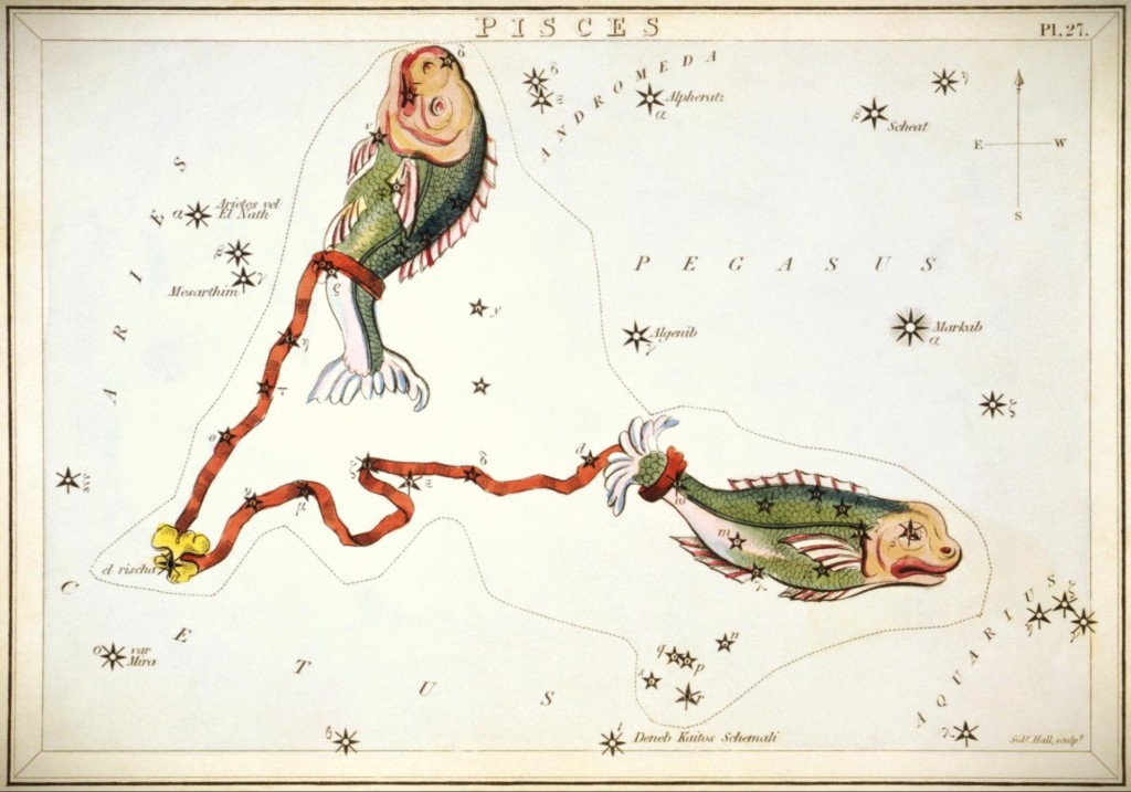 Pisces constellation from Urania's Mirror