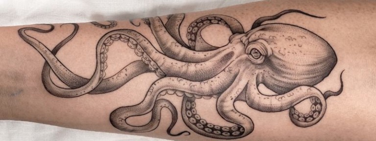 tatuagem kraken