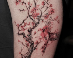 cherry blossom tree tattoo