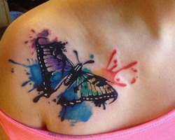 Butterflies