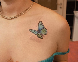 Butterflies