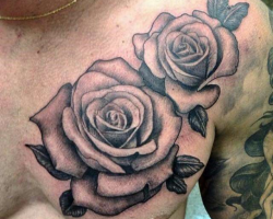 Roses