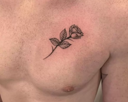 Roses
