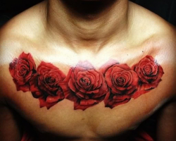 Roses