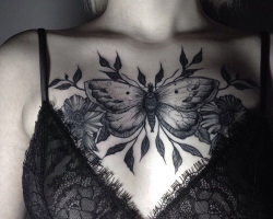 Butterflies
