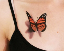 Butterflies