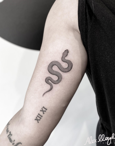Single medium-sized snake tattoo ideas