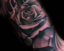 Roses tattoo ideas