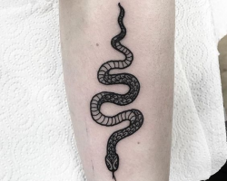 Snake tattoo
