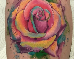 Rose Tattoos