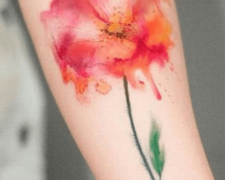 Tattoos with Poppies