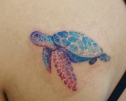 Turtle Tattoos