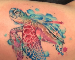 Turtle Tattoos