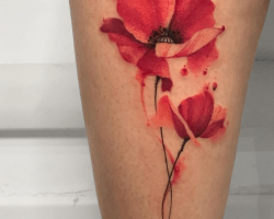 Tattoos with Poppies