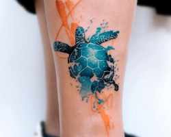 Turtle Tattoos