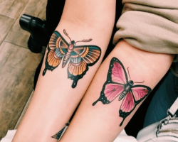 Butterflies