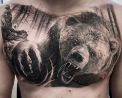 Bear