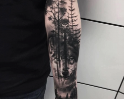 Wolf
