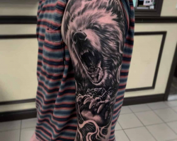Bear