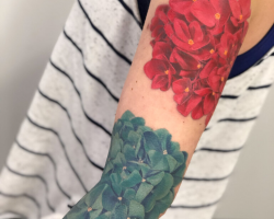 Flowers