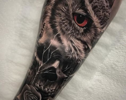 Owl