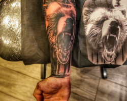 Bear