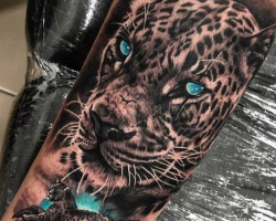 Cheetah