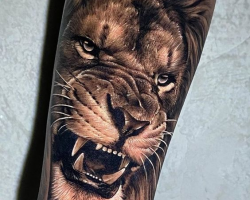 Lion