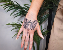 Butterflies