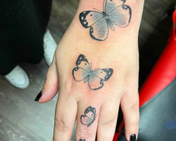Butterflies