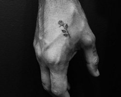 Rose designs