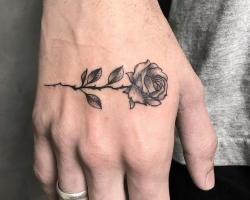 Rose designs