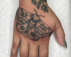 Butterflies