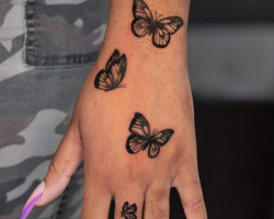Butterflies