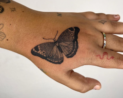 Butterflies