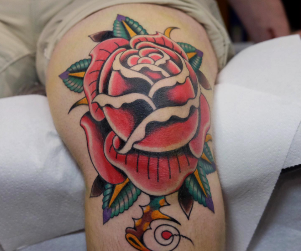 American traditional rose