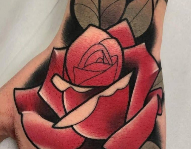 American traditional rose