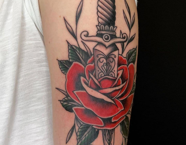 American traditional rose