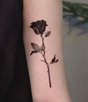 Black rose tattoo for women on the arm