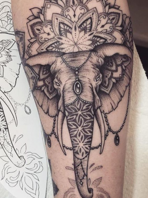 Elephant mandala tattoo on the forearm